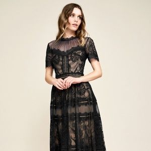 Tadashi Shoji - Camilla Tea-Length Dress 6 black/Nude
